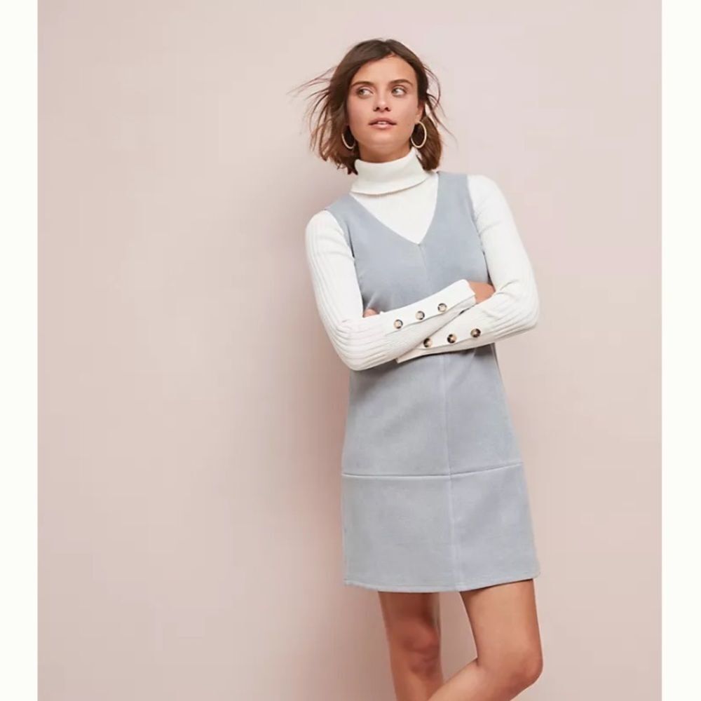 NWT Anthro Elizabeth Crosby Princeps Shift Dress